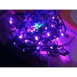 Celebrate It Halloween 5 Ft LED Lights Spider Web